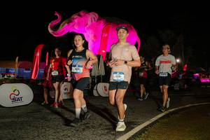 BIB: 
                            <button type="button" onclick="openModal(26534660)" class="btn btn-primary btn-sm float-right btn-popup" data-toggle="modal" data-target=".modal-high-quality">
                        <i class="fas fa-shopping-cart"></i> Add to Cart
                    </button>
                                            <button type="button" onclick="isThisMe(26534660, true)" class="btn btn-success btn-sm float-right btn-popup btn-isme hidden" data-toggle="tooltip" data-placement="bottom" title="นี่คือรูปของคุณใช่ไหม คลิกที่นี่เพื่อเอาเข้าอัลบั้ม">
                        <i class="fas fa-plus"></i> Add to album
                    </button>
                    <button type="button" onclick="isThisMe(26534660, false)" class="btn btn-warning btn-sm float-right btn-popup btn-isnotme hidden">
                        <i class="fas fa-ban"></i> Remove from album
                    </button>